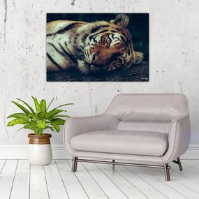 Tablou - Tigrul Siberian (90x60 cm)