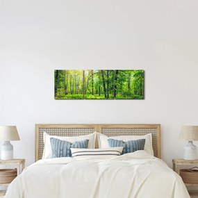 Tablou - Pădurea cu frunze de primăvară (cu ceas) (90x30 cm)