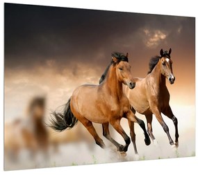 Tablou cu caii (70x50 cm), în 40 de alte dimensiuni noi