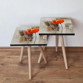 Set 2 Masute Auxiliare 2SHP302, MDF, Multicolor