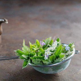 Strecurătoare Orion din oțel inoxidabil, 10 cm, 10 cm