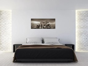 Tablou cu leii alb negri (120x50 cm)