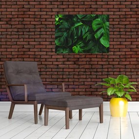 Tablou cu frunze Monstery (70x50 cm)