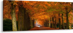 Tablou - Bulevardul de copaci în toamnă (120x50 cm)
