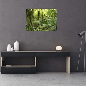Tablou pe sticlă - Pădure tropicală (70x50 cm)