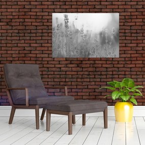 Tablou - Lavanda (90x60 cm)