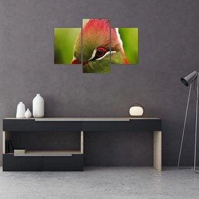 Tablou cu pasărea colorată (90x60 cm)