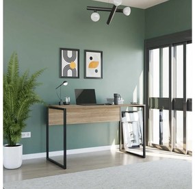 Masă PC Calliope 3 (nuc deschis) . 1109393