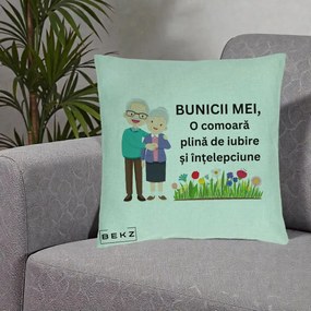 Cadou pentru Bunici - Perna Personalizata Bunicii Mei Comoara Cuplu Senior cu Flori Colorat, 40x40 cm, Verde Menta, Husa Detasabila, Perna Inclusa, BEKZ®
