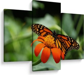 Tablou cu fluture pe floare (90x60 cm)