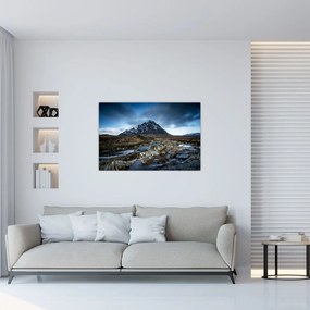 Tablou cu munții și tigrul (90x60 cm)