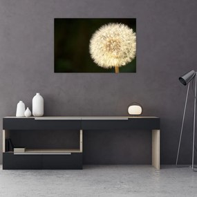 Tablou cu păpădie gri (90x60 cm)