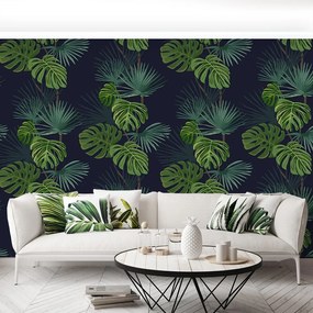Fototapet Monstera este plin de găuri