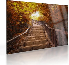 Tablou pe sticlă - Scări în natură în toamnă (70x50 cm)