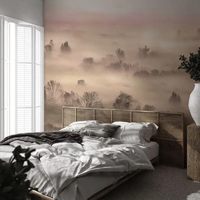 Tapet Foggy Landscape Peach - Smooth