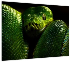 Tablou pe sticlă - Șarpele verde (70x50 cm)