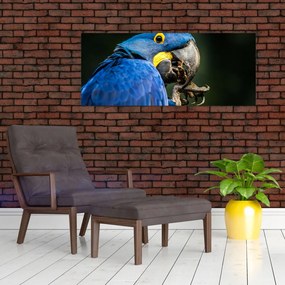 Tablou cu papagal (120x50 cm)