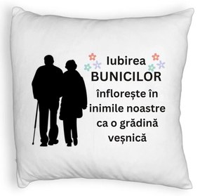 Perna Decorativa Fluffy, pentru Bunici 1, 40x40 cm, Alba, Husa Detasabila, Burduf