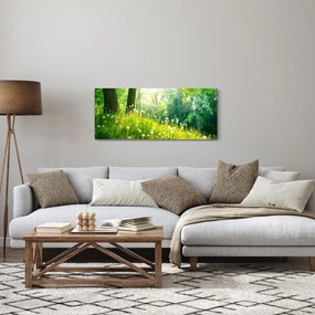 Tablou - Pajiște magică plină de păpădii (120x50 cm)