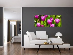 Tablou cu lale pe luncă (120x50 cm)
