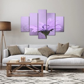 Tablou - Flori mov (150x105 cm)