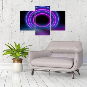 Tablou cu cercuri colorate (90x60 cm)