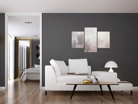 Tablou - Flori de crocus (90x60 cm)