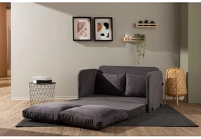 Canapea extensibilă Sagoretti (gri). 1107018