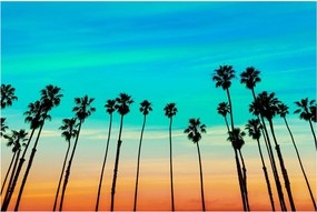 Tablou - California (90x60 cm)
