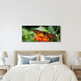 Tablou cu fluture pe floare (120x50 cm)