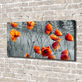 Print pe pânză Wildflowers maci