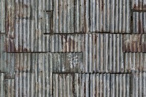 Fototapet, Backyard, Rebel Walls