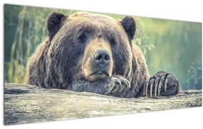 Tablou cu urs (120x50 cm), în 40 de alte dimensiuni noi