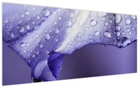 Tablou - Petală cu picături (120x50 cm)