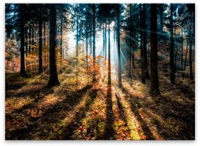 Tablou Styler Glasspik Autumn Sunset, 70 x 100 cm