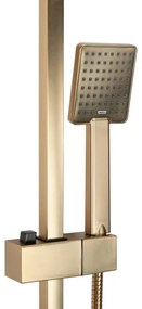 REA-P7050 - Set de duș JACK cu baterie, finisaj auriu periat