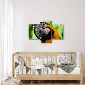 Tablou cu papagal (90x60 cm)