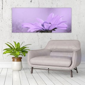 Tablou - Flori mov (120x50 cm)