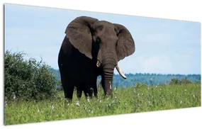 Tablou cu elefant (120x50 cm), în 40 de alte dimensiuni noi