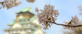 Tablou - Sakura (120x50 cm)
