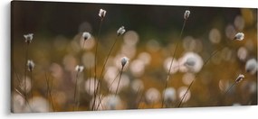 Tablou - Pajiște cu iarbă de cozonac N⁰2 (120x50 cm)