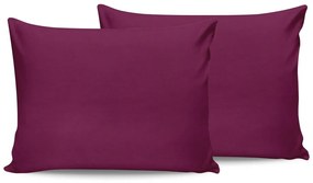 Fețe de pernă 2 buc. 70x50 cm – Mijolnir