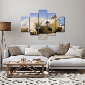 Tablou cu cățeluș dormind (150x105 cm)