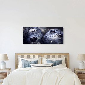 Tablou cu fructe cu picături de apă (120x50 cm)