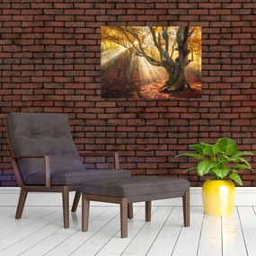 Tablou - Lumina de toamnă (70x50 cm)