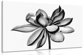 Tablou floare de lotus acuarele alb-negru