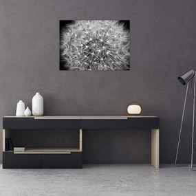 Tablou pe sticlă păpădie gri (70x50 cm)
