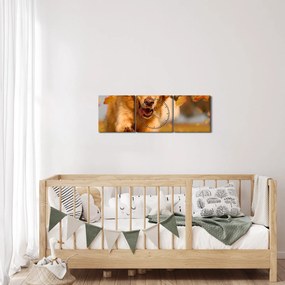 Tablou - Golden Retriever (cu ceas) (90x30 cm)
