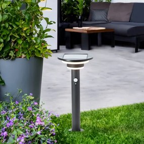 Lampă LED solară cu senzor Brilliant GARVINA LED/3W/3,7V 45 cm IP44 negru