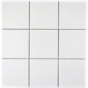 Mozaic ceramic CQ 105 alb mat 30x30 cm